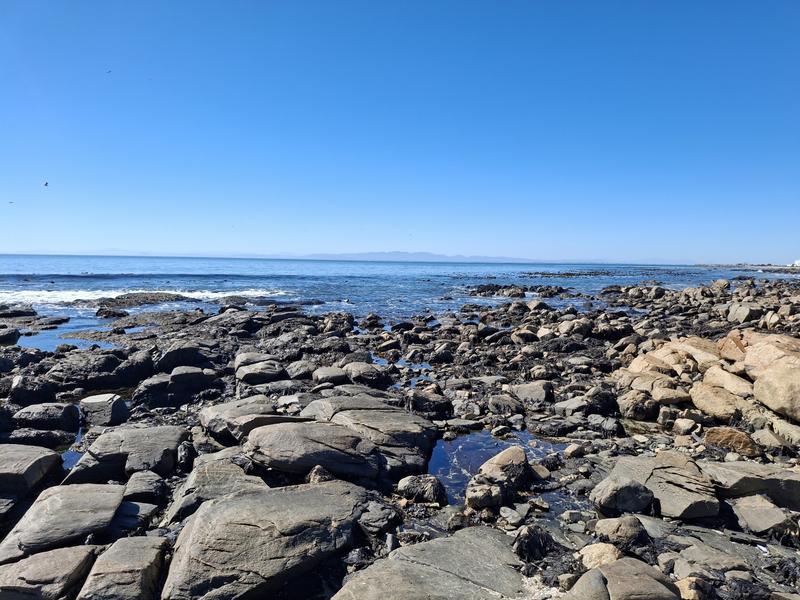0 Bedroom Property for Sale in Sandy Point Western Cape